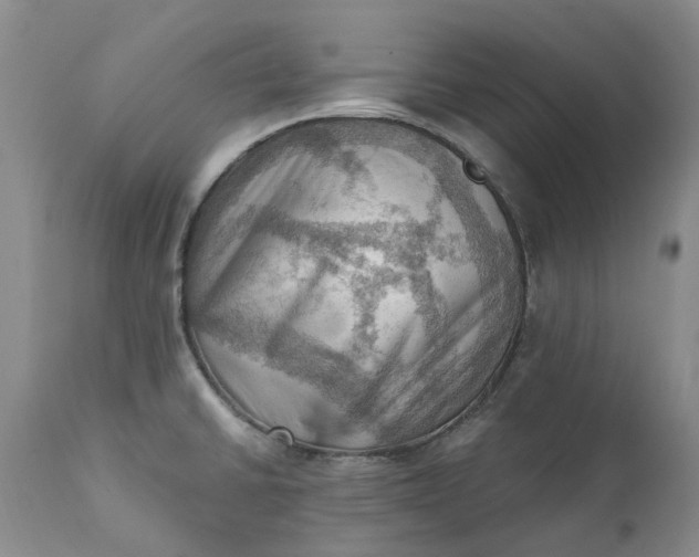 X0000111361430200907241212