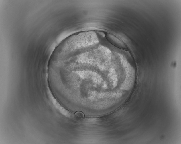 X0000111361431200907241212