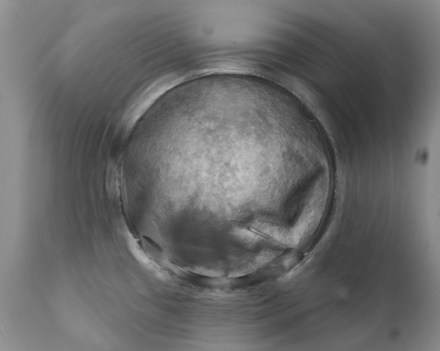 X0000111361433200907241212
