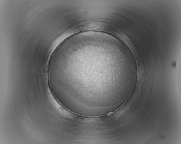 X0000111361434200907241212