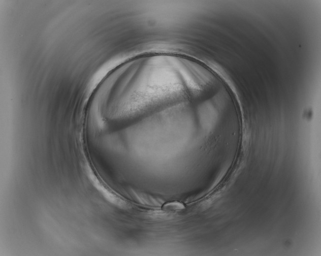X0000111361437200907241212