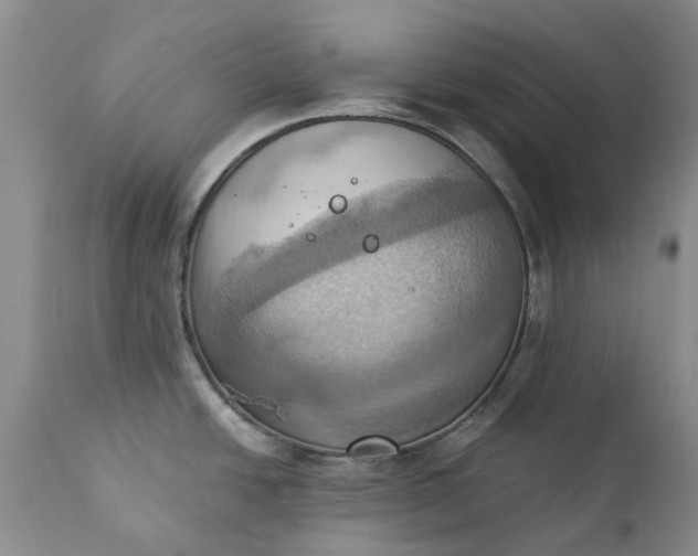 X0000111361438200907241212