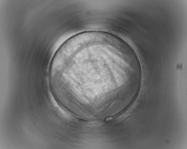 X0000111361440200907241212