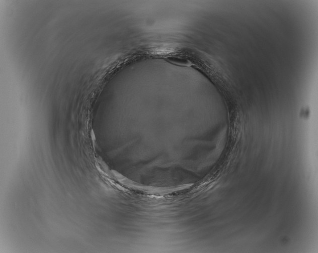 X0000111361441200907241211