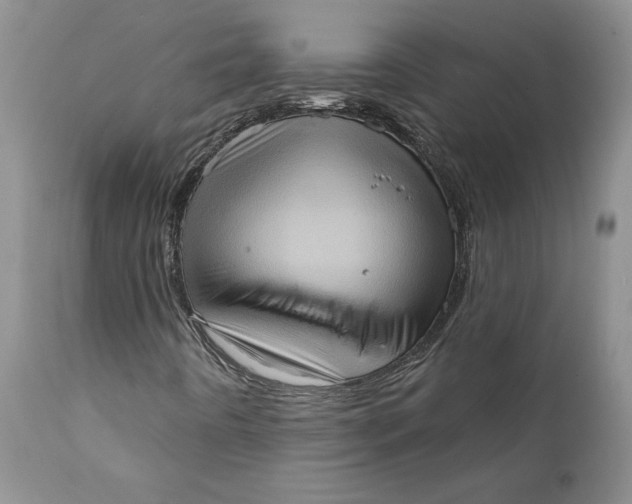 X0000111361442200907241211