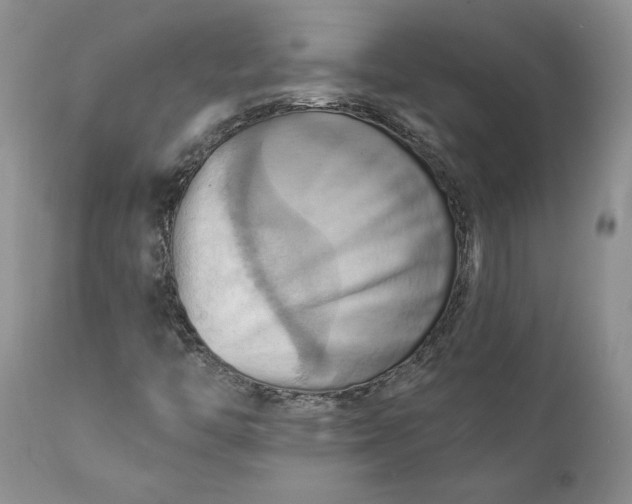 X0000111361446200907241211