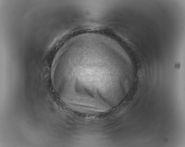X0000111361447200907241211