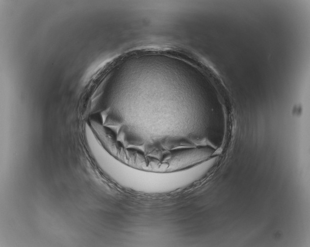 X0000111361448200907241211