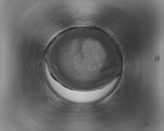 X0000111361449200907241211