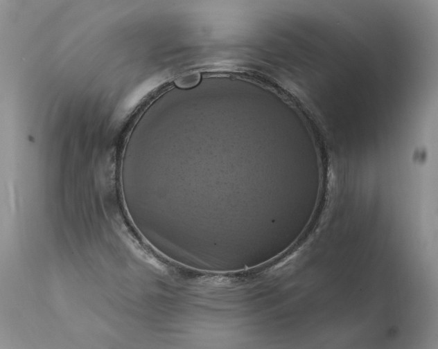 X0000111361450200907241211