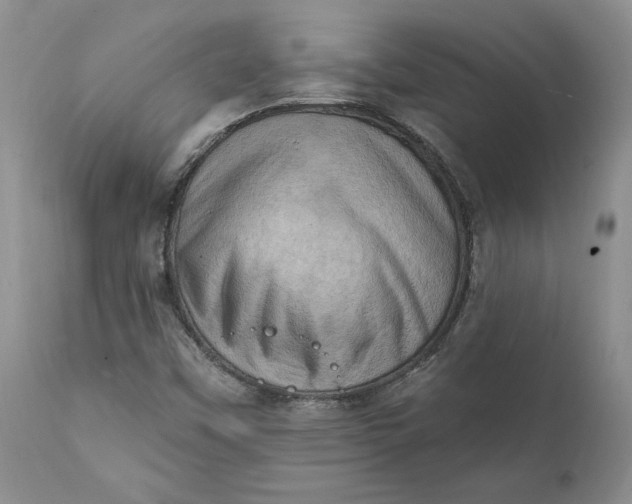 X0000111361451200907241211