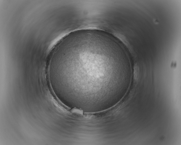 X0000111361452200907241211