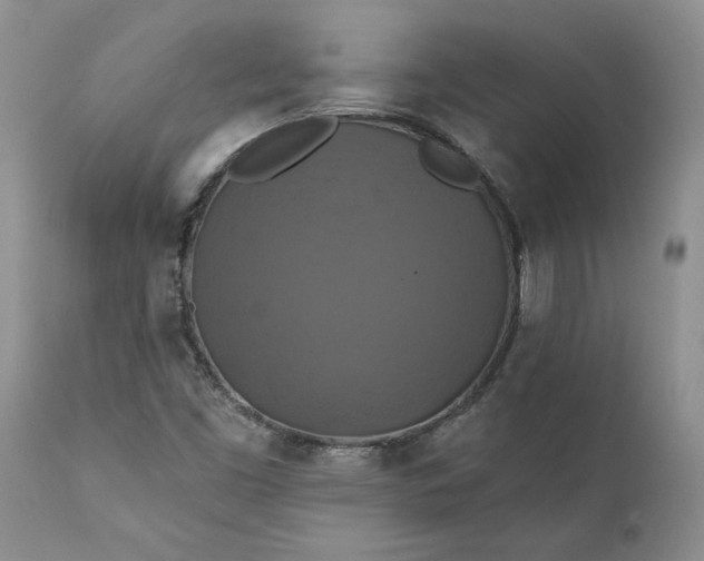 X0000111361453200907241211