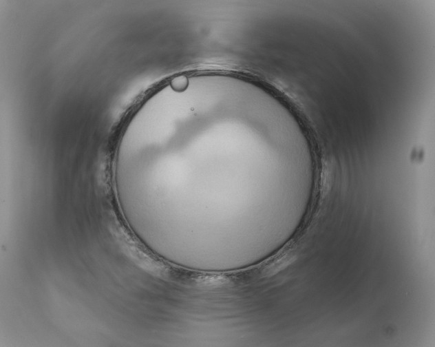 X0000111361454200907241211