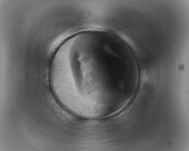 X0000111361455200907241211