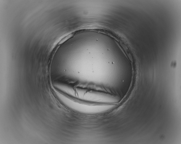 X0000111361457200907241211
