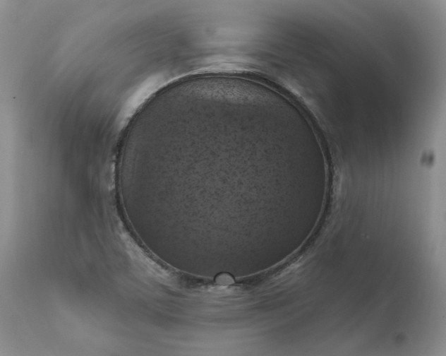 X0000111361459200907241211