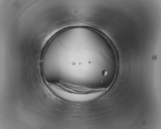X0000111361460200907241211