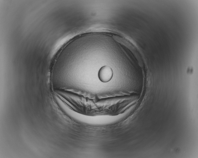 X0000111361461200907241211