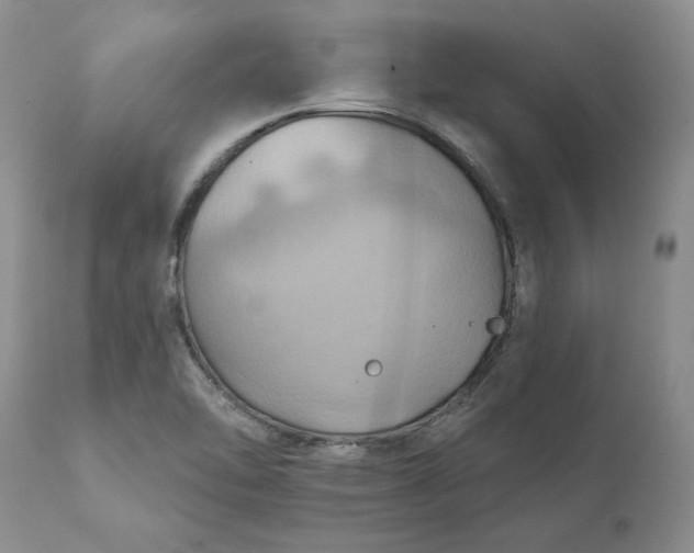X0000111361462200907241211