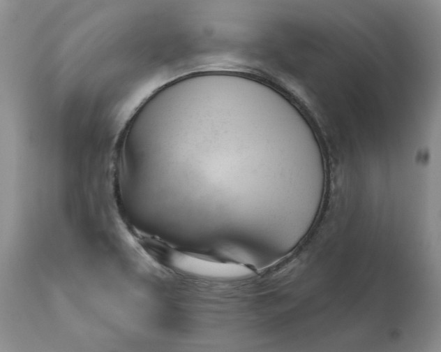 X0000111361463200907241211