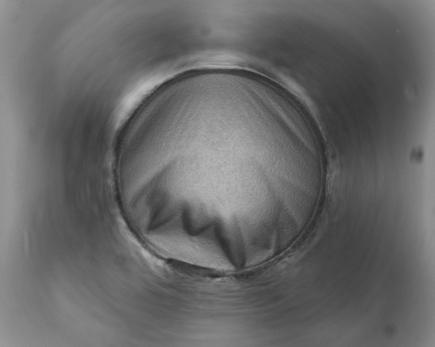 X0000111361464200907241211