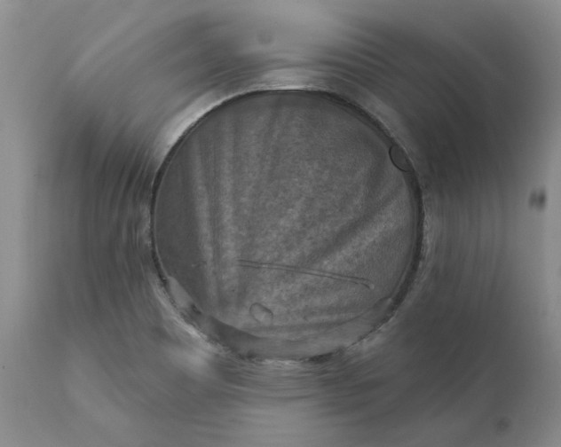 X0000111361465200907241211
