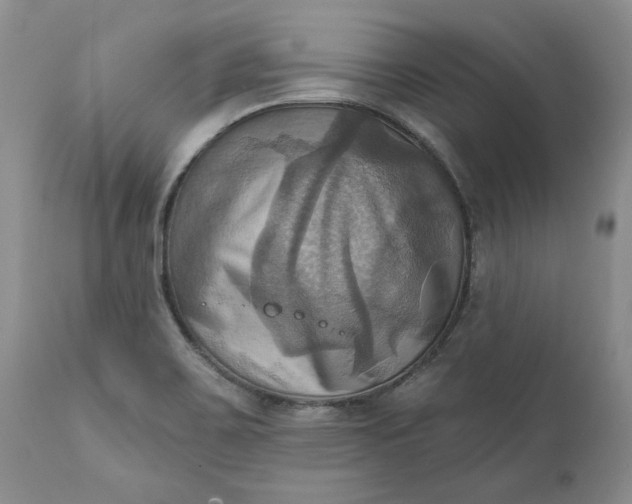 X0000111361467200907241211