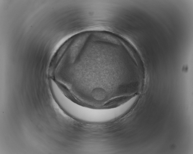 X0000111361468200907241211