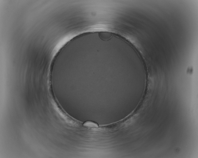 X0000111361469200907241211