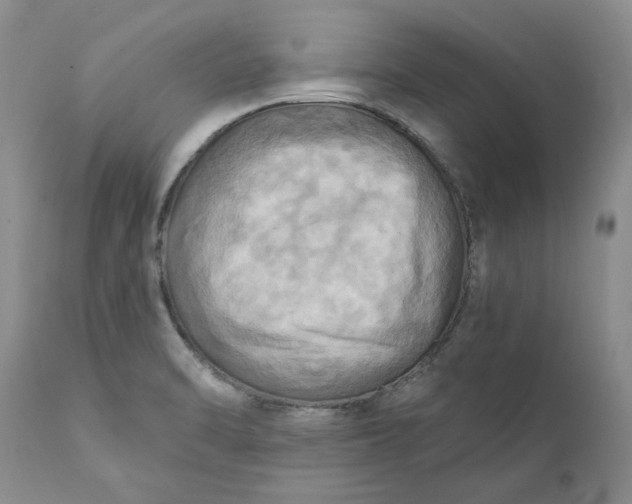 X0000111361470200907241211