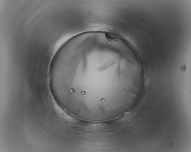 X0000111361471200907241211