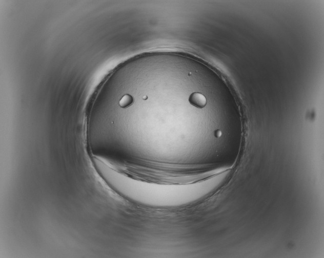 X0000111361472200907241211