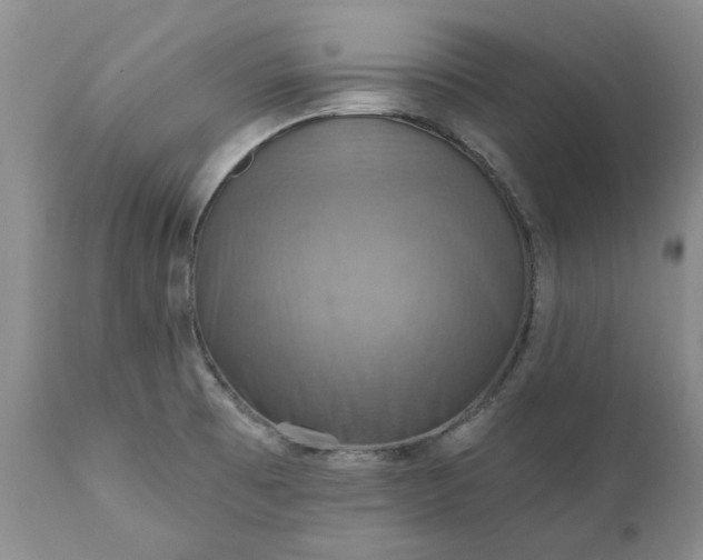 X0000111361473200907241211