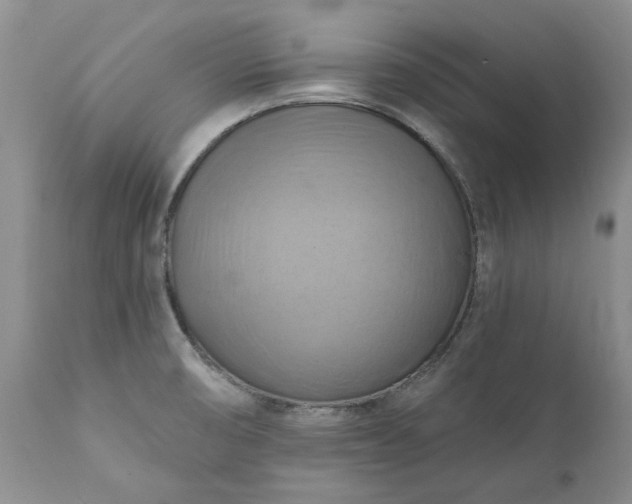 X0000111361474200907241211