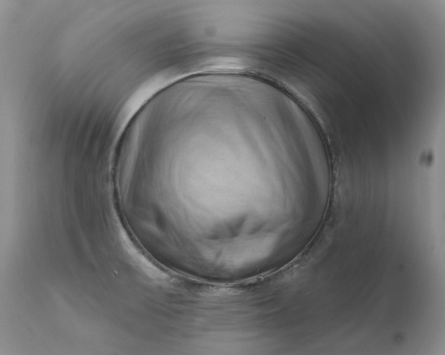 X0000111361475200907241211