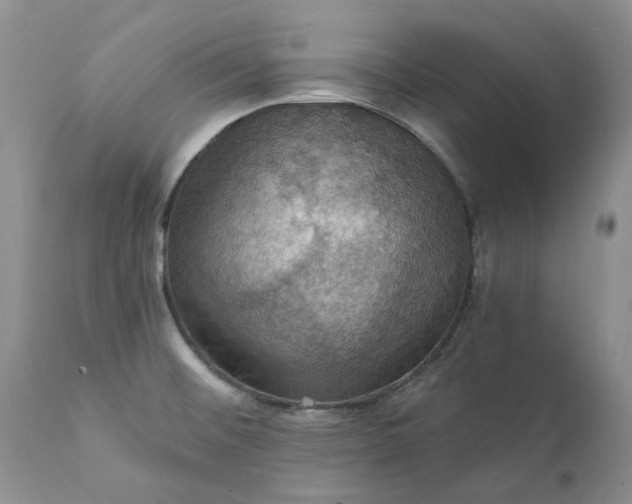 X0000111361476200907241211