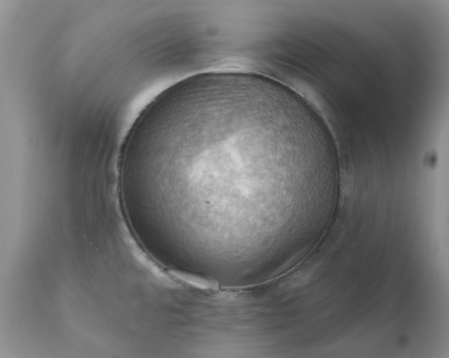 X0000111361480200907241211