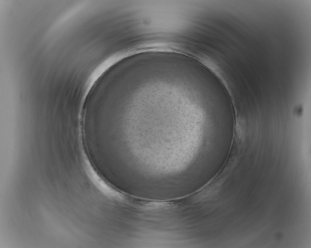 X0000111361482200907241211