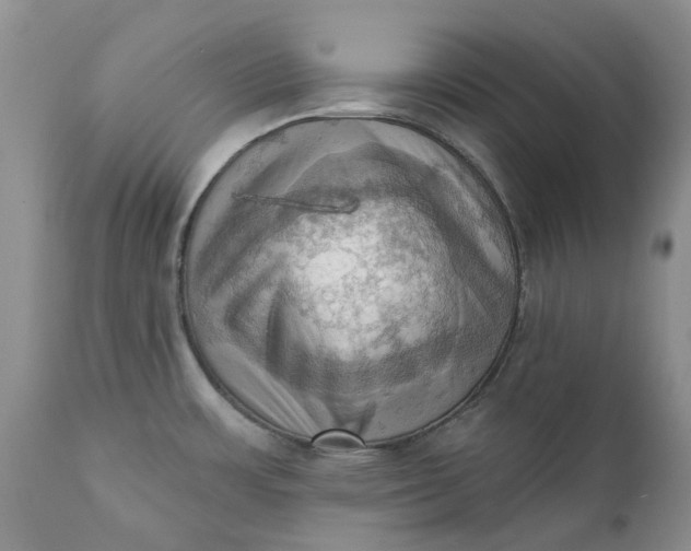 X0000111361483200907241211