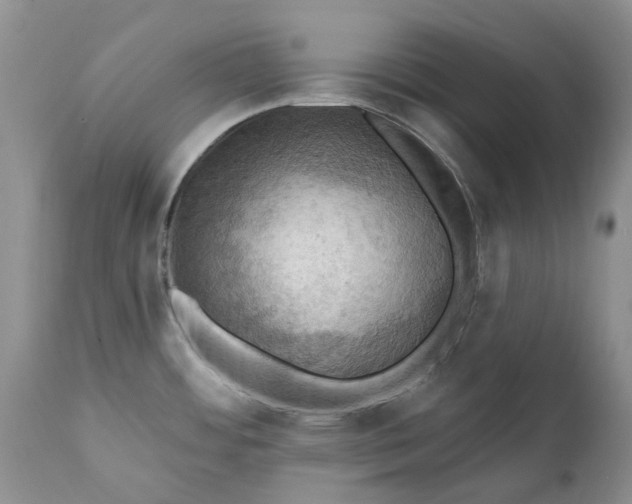 X0000111361484200907241211