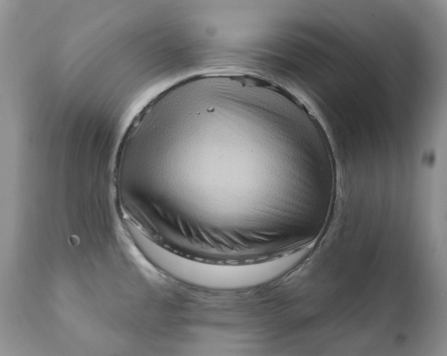 X0000111361485200907241211