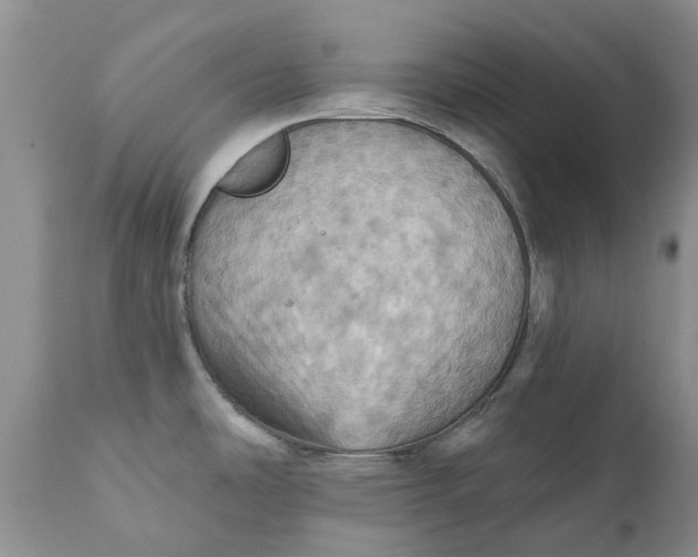 X0000111361486200907241210