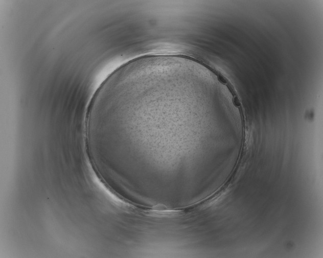 X0000111361487200907241210