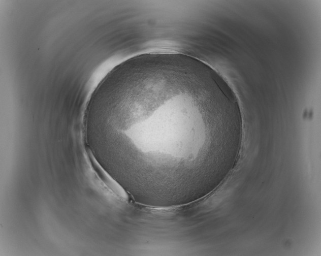 X0000111361488200907241210