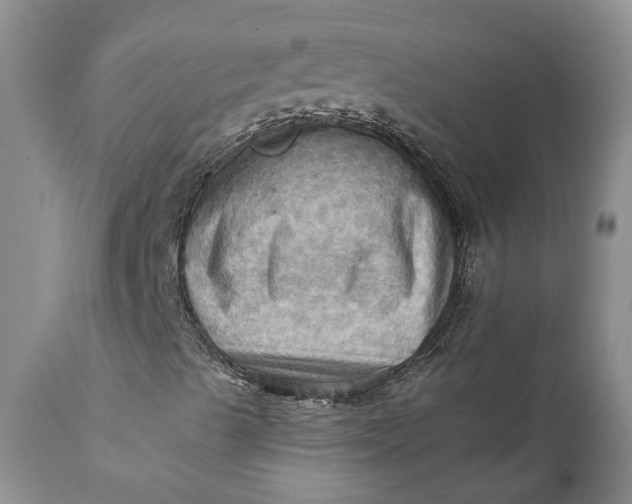 X0000111361489200907241210