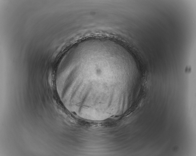 X0000111361490200907241210