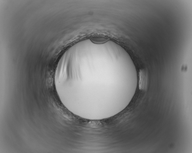 X0000111361491200907241210