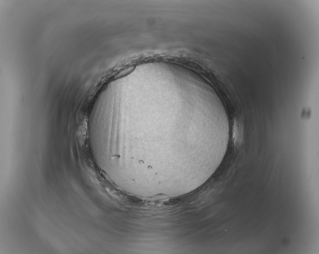 X0000111361492200907241210