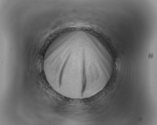 X0000111361493200907241210